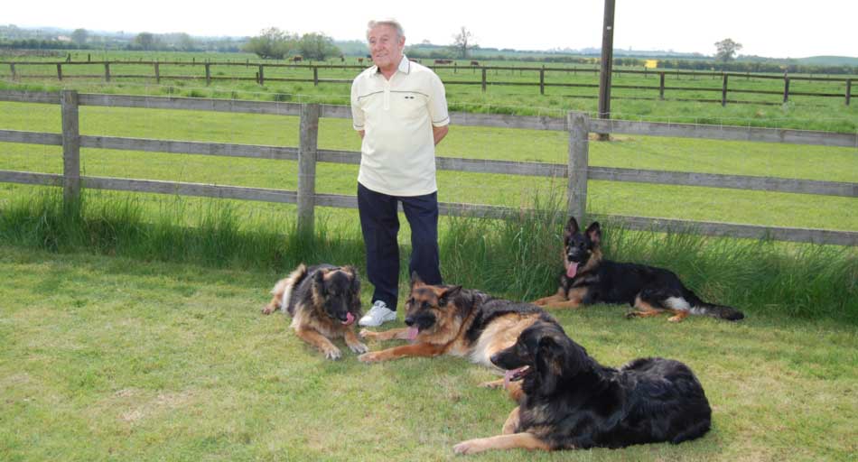 Ken Plaster, the founder of the Aylesbury German Shepherd Dog Training Club pictured with four of his GSD pack